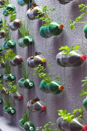 URBAN FARMING, SOLUSI PANGAN DI TENGAH PANDEMI